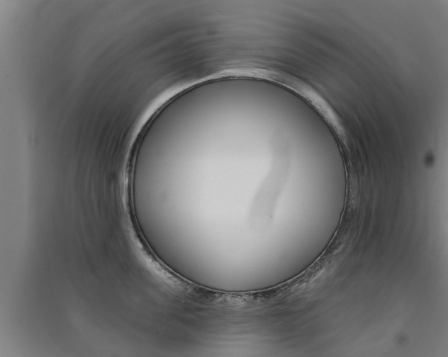 X0000091580955200708201011