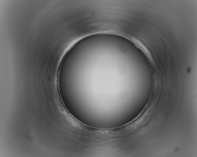 X0000091580956200708201011