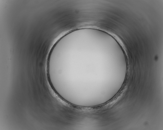X0000091580957200708201011