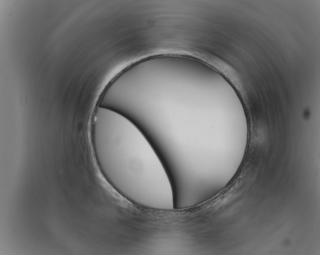X0000091580958200708201011