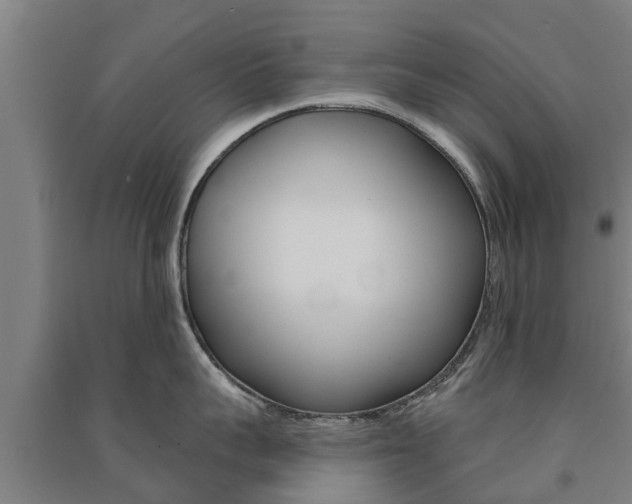 X0000091580959200708201011