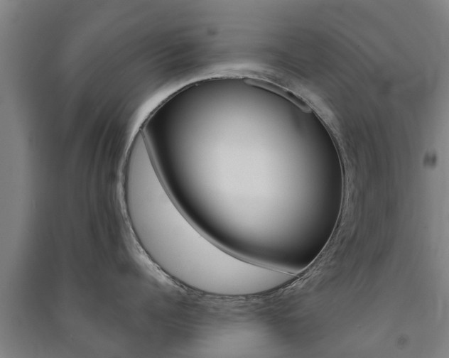X0000091580960200708201011
