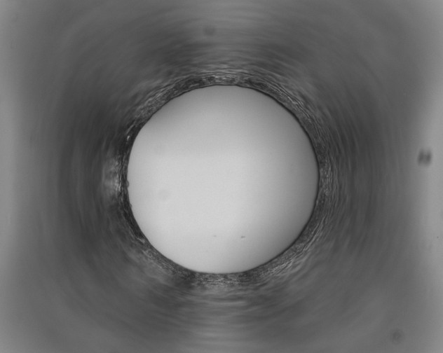 X0000091580962200708201010