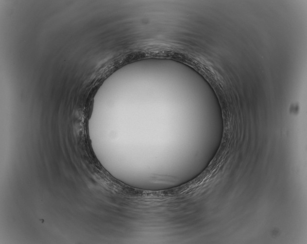 X0000091580964200708201010