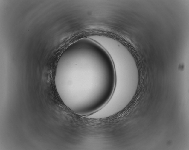 X0000091580965200708201010