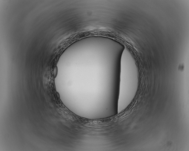 X0000091580966200708201010