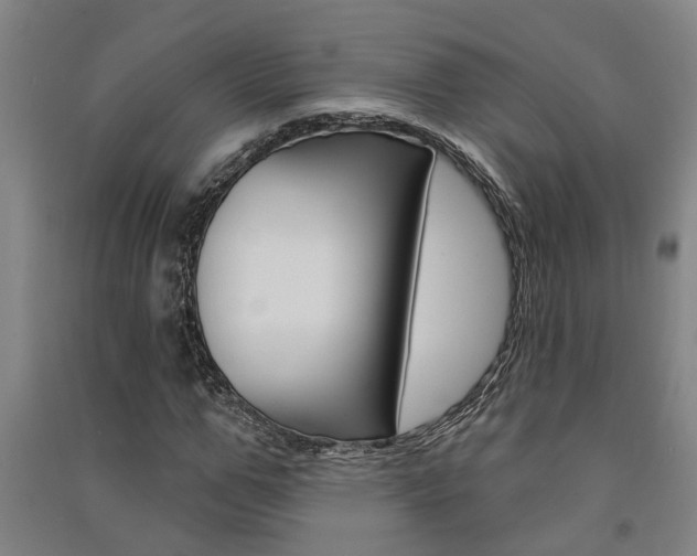 X0000091580967200708201010