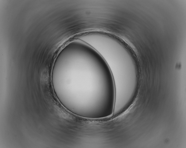 X0000091580969200708201010