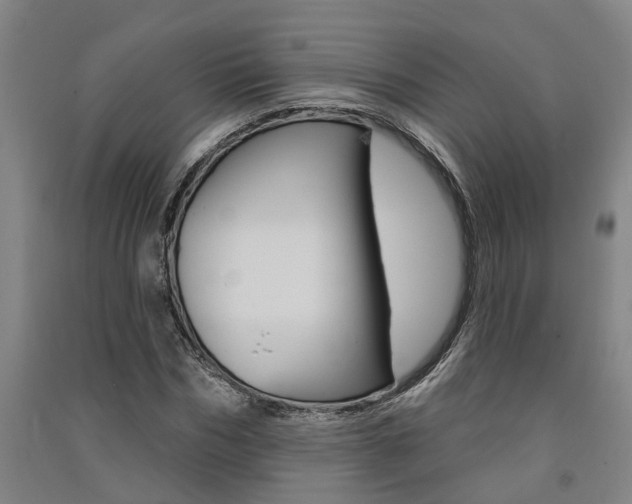 X0000091580970200708201010