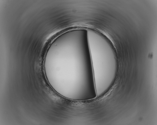 X0000091580971200708201010