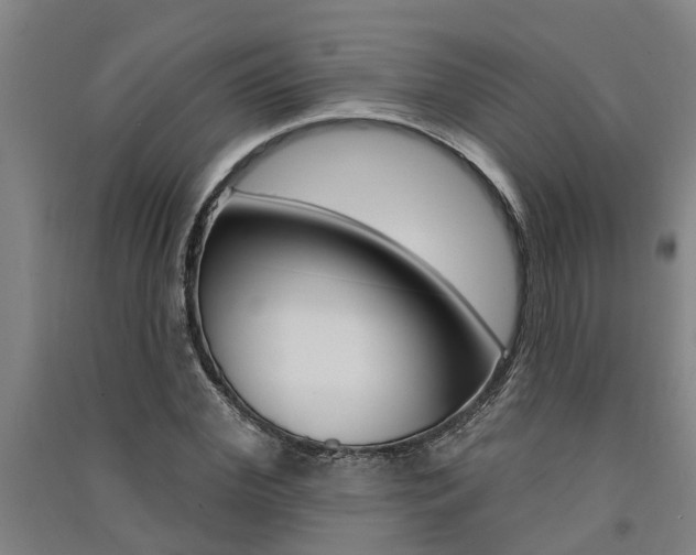 X0000091580972200708201010