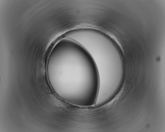 X0000091580973200708201010