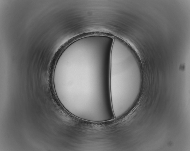 X0000091580975200708201010