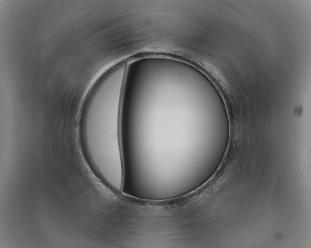 X0000091580976200708201010