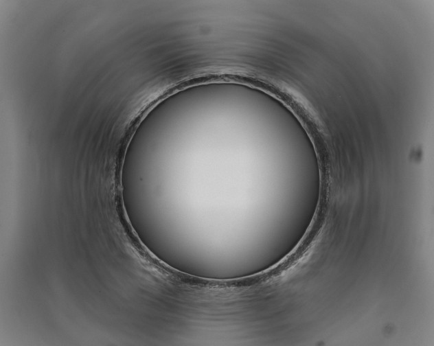 X0000091580977200708201010