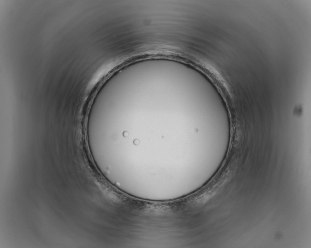 X0000091580978200708201010