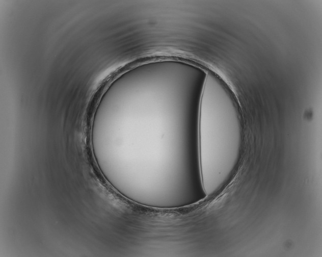 X0000091580979200708201010
