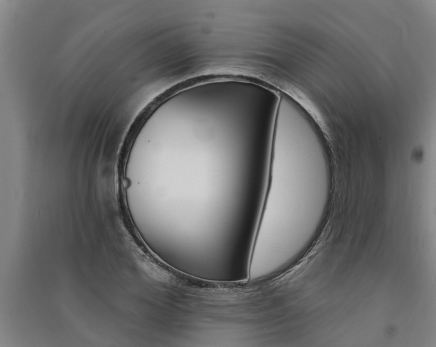 X0000091580980200708201010