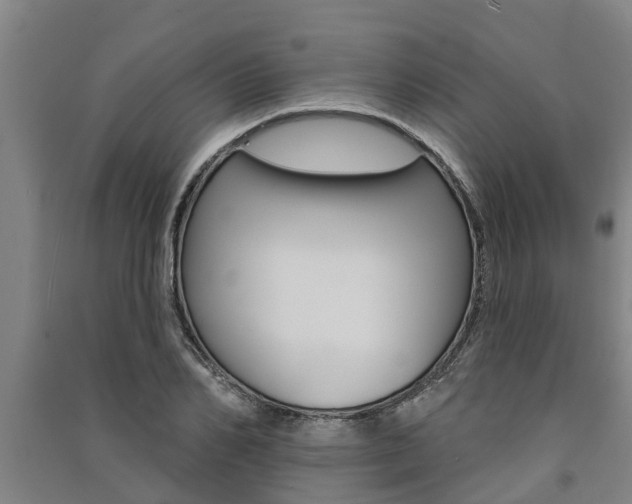 X0000091580982200708201010