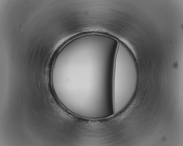 X0000091580983200708201009