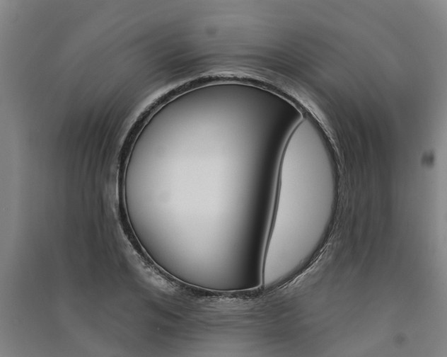 X0000091580984200708201009