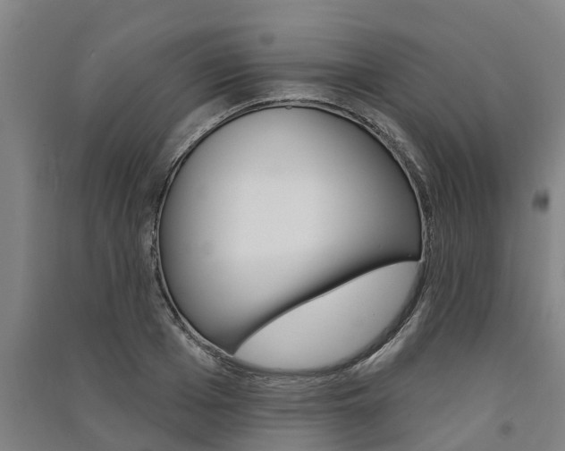 X0000091580985200708201009