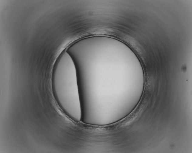 X0000091580986200708201009
