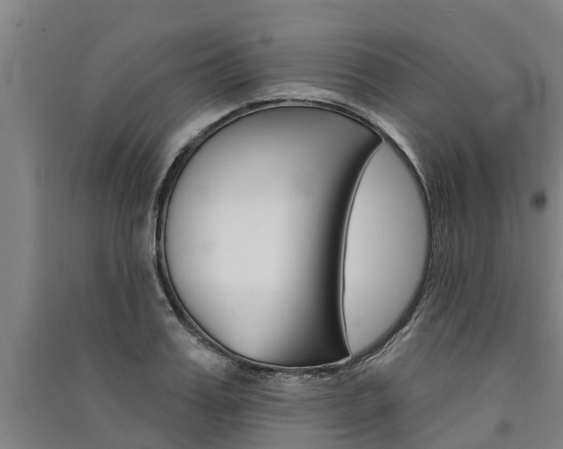 X0000091580987200708201009