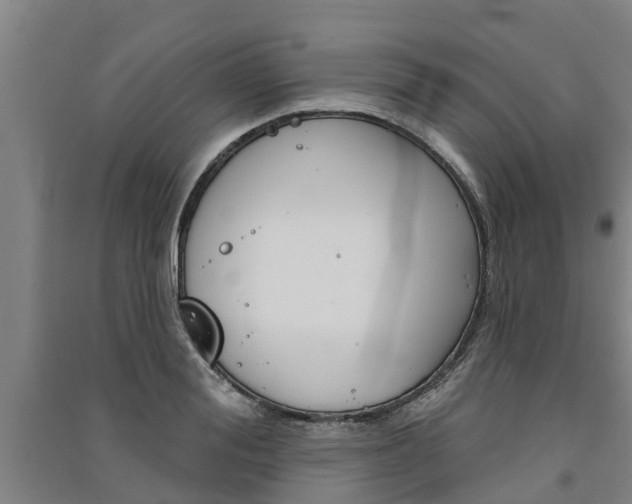 X0000091580988200708201009