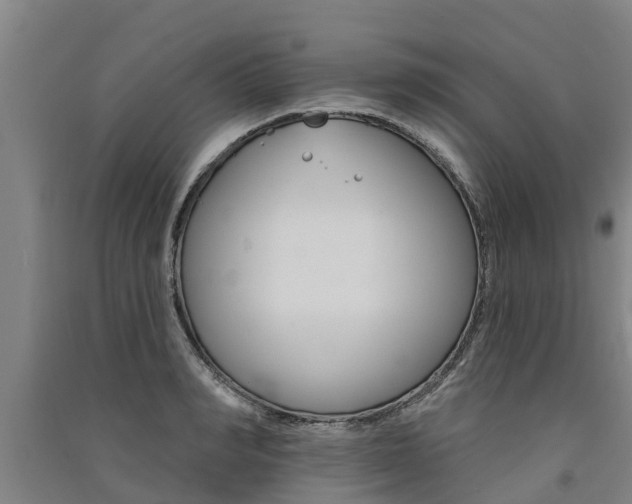 X0000091580990200708201009