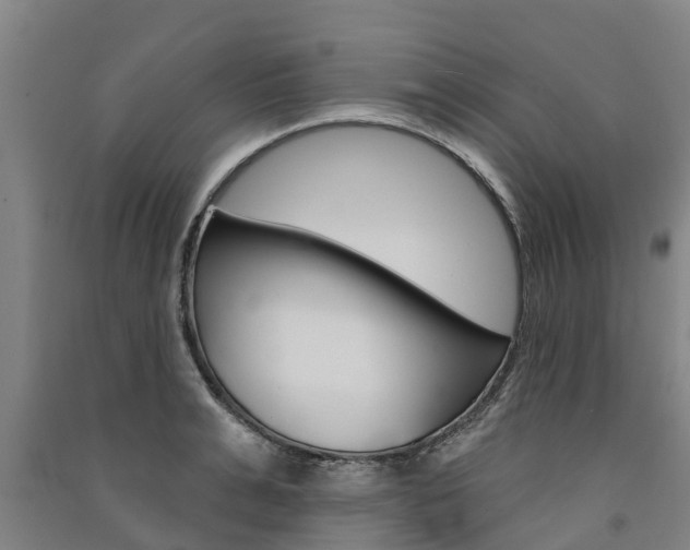 X0000091580991200708201009