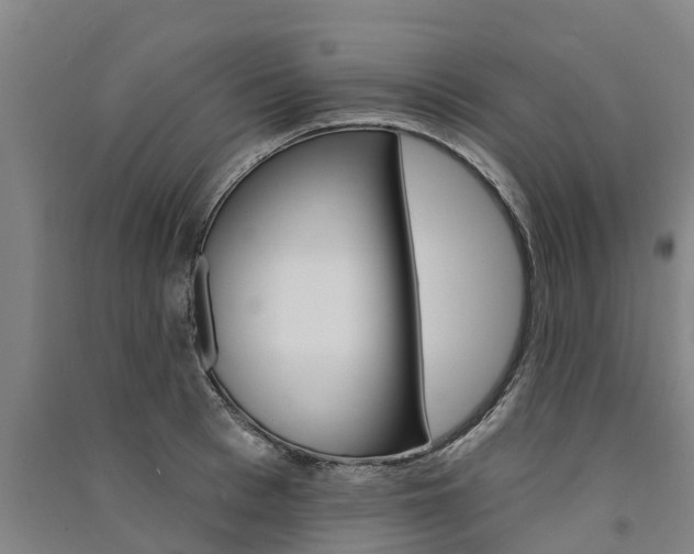 X0000091580993200708201009