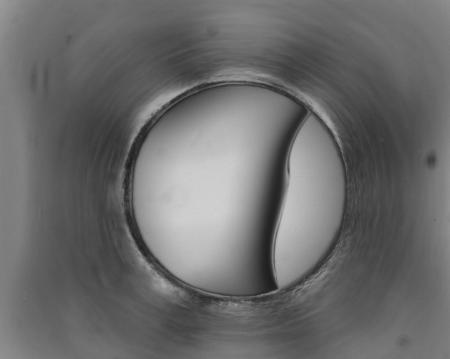 X0000091580995200708201009