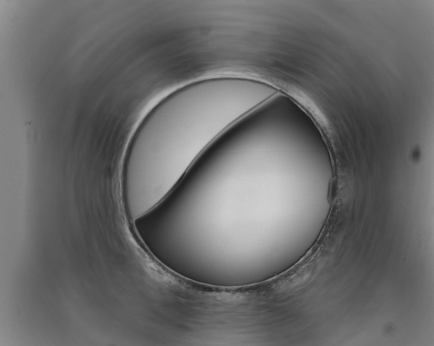 X0000091580996200708201009