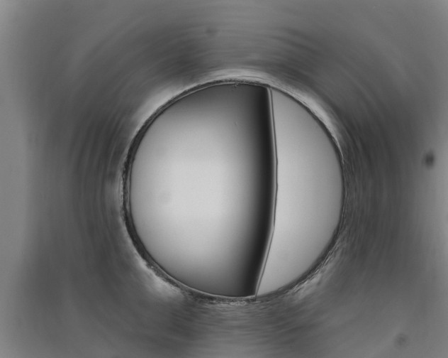 X0000091580999200708201009