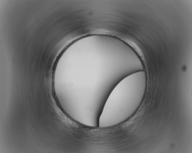 X0000091581000200708201009
