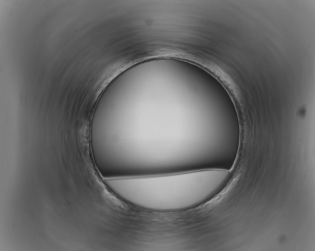 X0000091581001200708201009