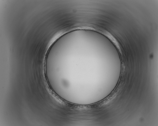 X0000091581002200708201009