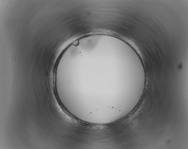 X0000091581003200708201009