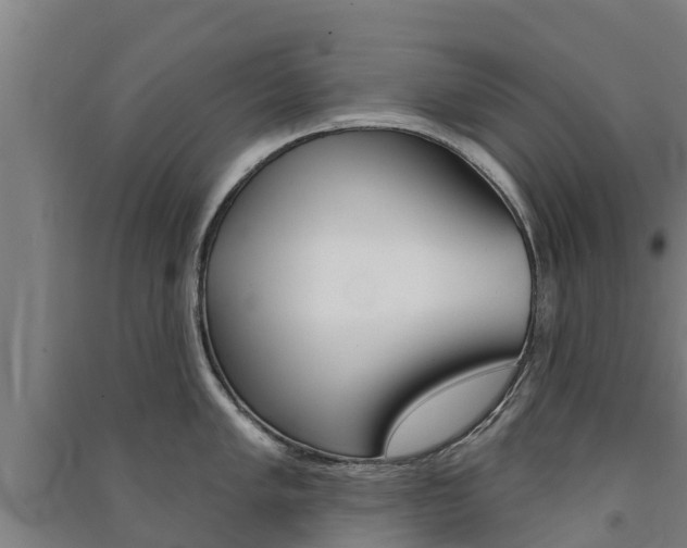 X0000091581005200708201009