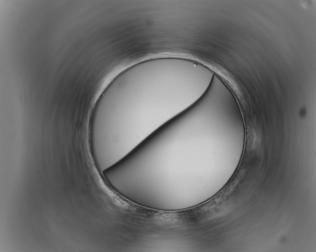 X0000091581006200708201009