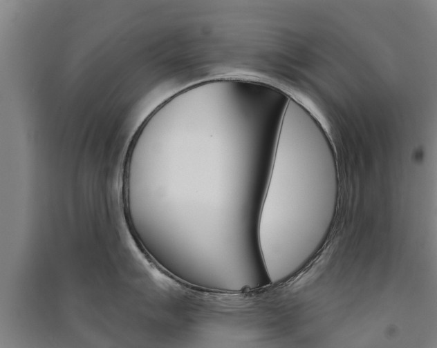 X0000091581007200708201009