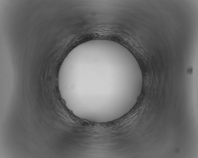 X0000091581009200708201008
