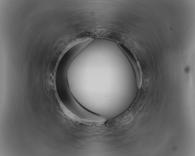 X0000091581010200708201008