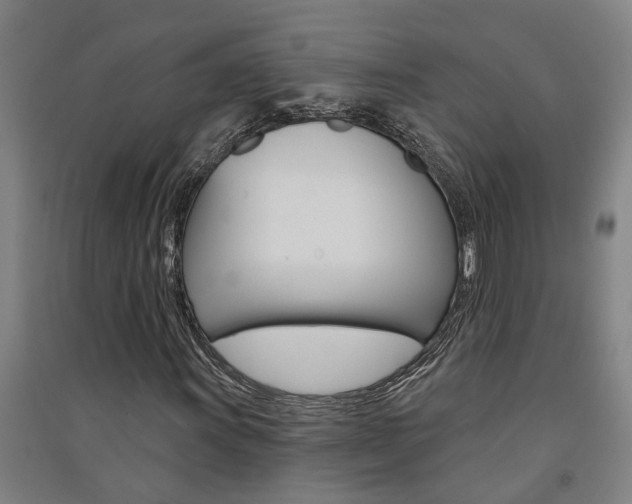 X0000091581011200708201009