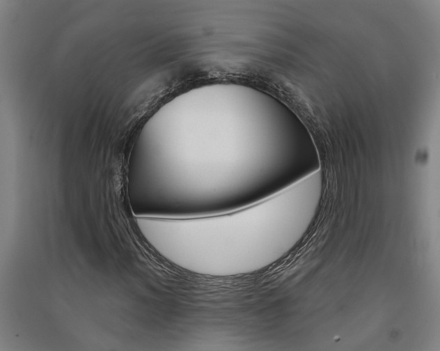 X0000091581012200708201009