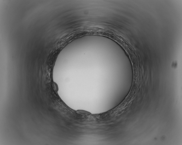 X0000091581013200708201009