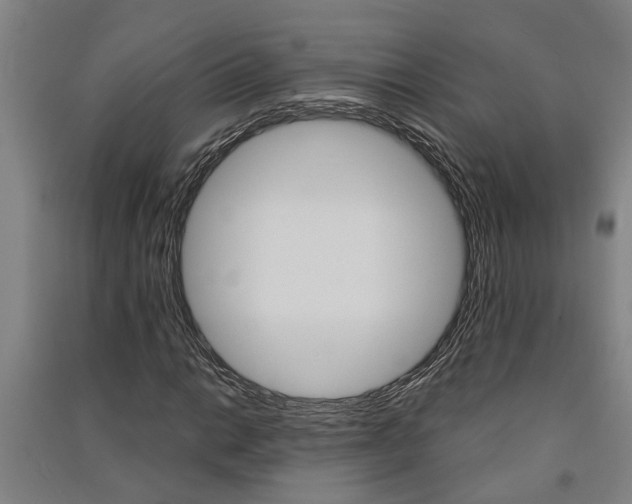 X0000091581014200708201009