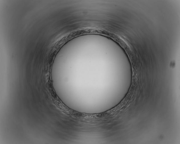 X0000091581015200708201009