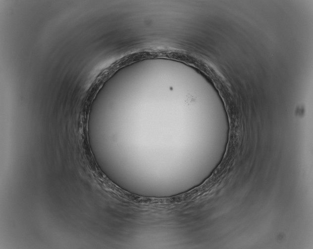 X0000091581016200708201009